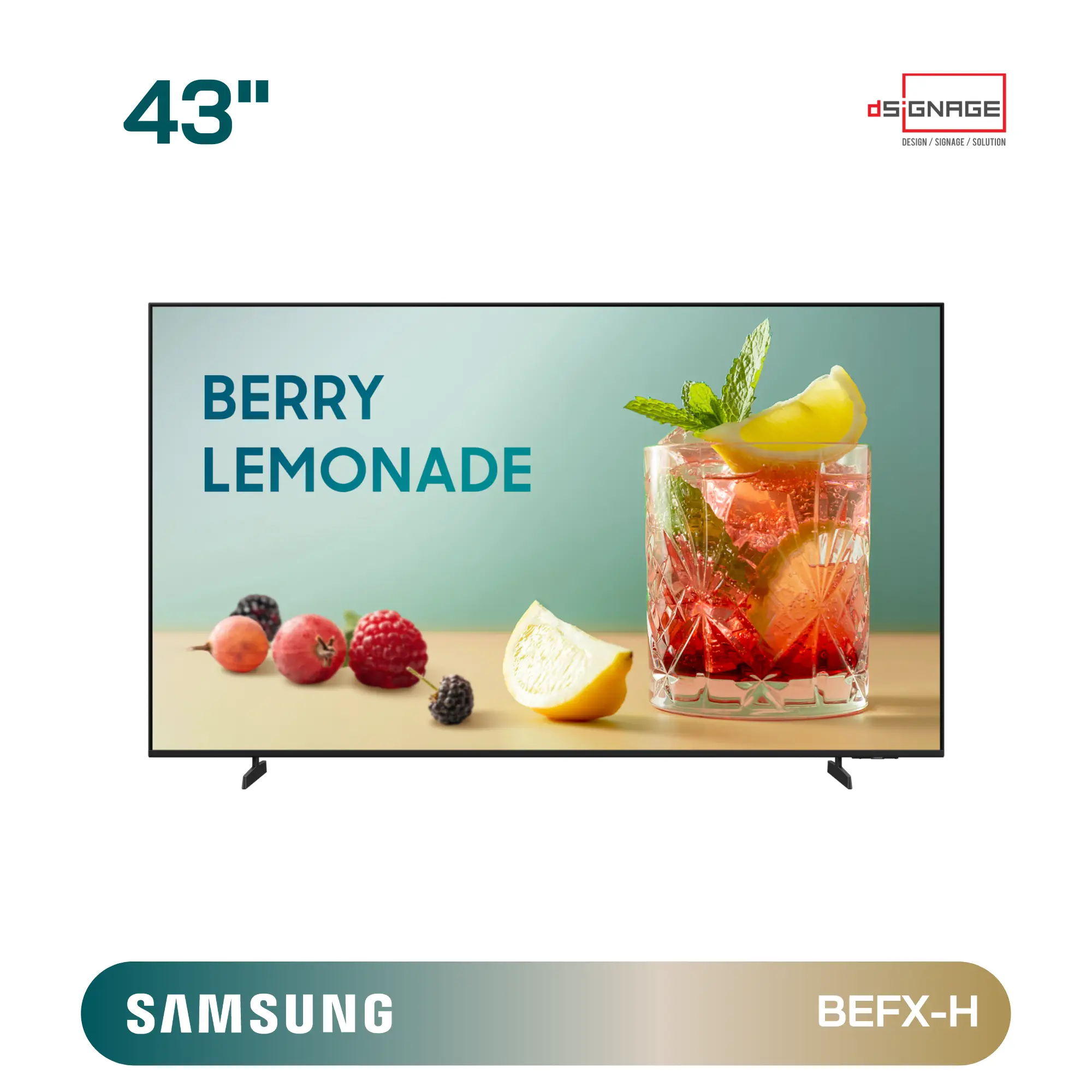SAMSUNG BUSINESS PRO TV BEFX-H